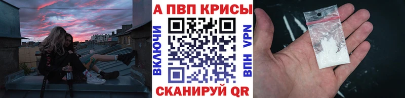 Alfa_PVP СК КРИС  ОМГ ОМГ вход  Новосибирск 