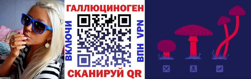 Псилоцибиновые грибы Psilocybe  Новосибирск 